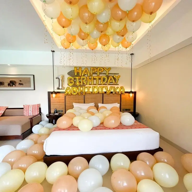Welcome Baby Homecoming Archway